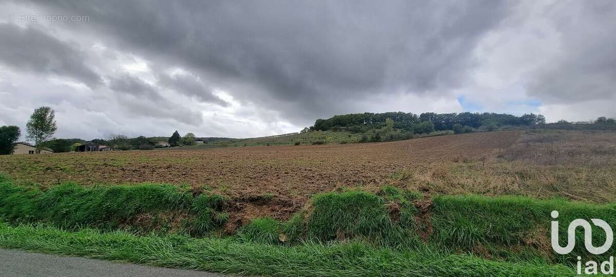 Photo 2 - Terrain à SAINT-CAPRAIS-DE-LERM