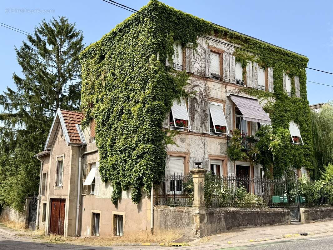 Magnifique appartement avec terrain privatif - photo 24