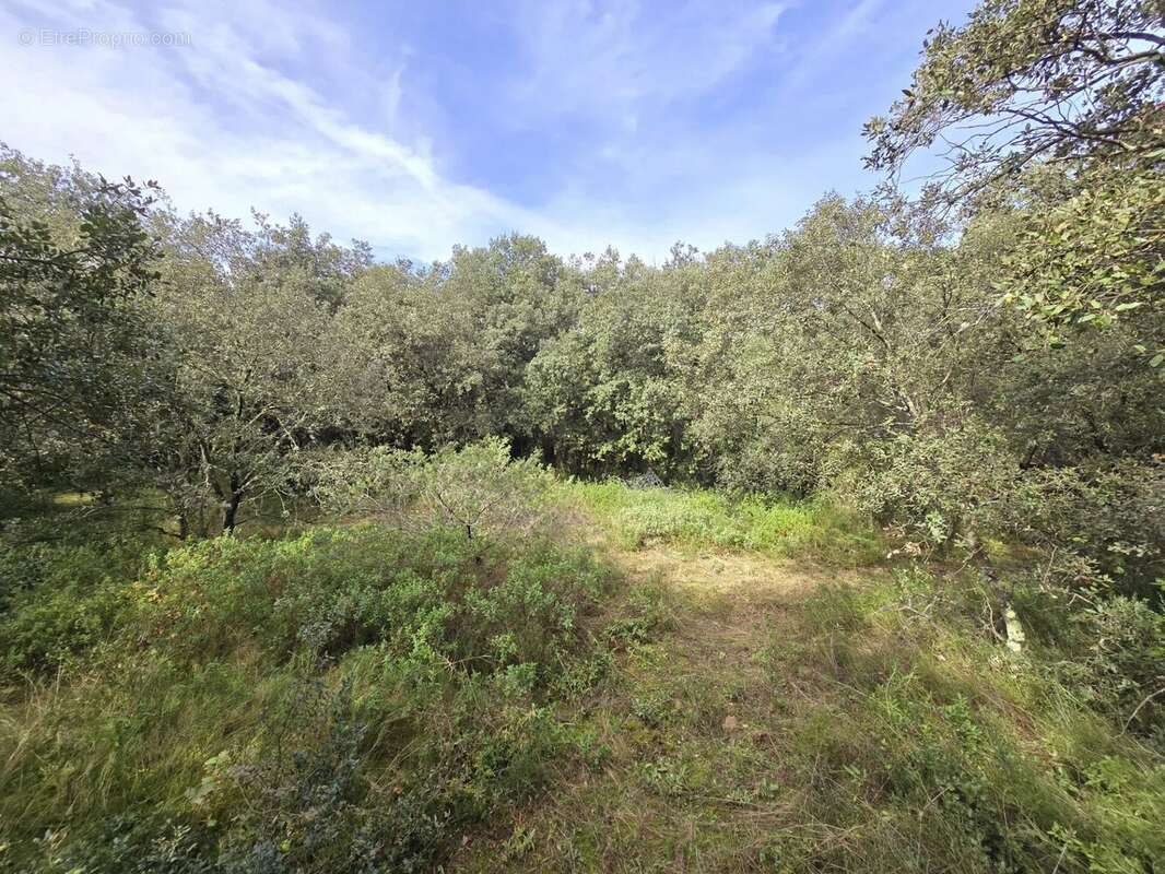 Photo Garrigue d\&#039;Uzès 2 - Terrain à UZES