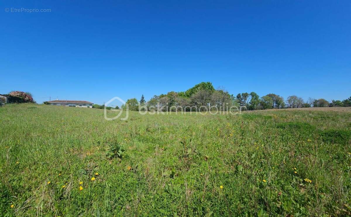 Terrain constructible a saisir - photo 3