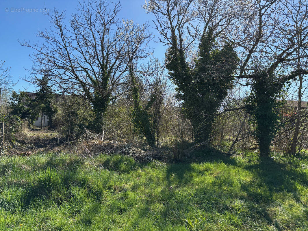 Terrain à bâtir de 650 m2 - proche centre de La Ferté Saint Aubin - photo 1