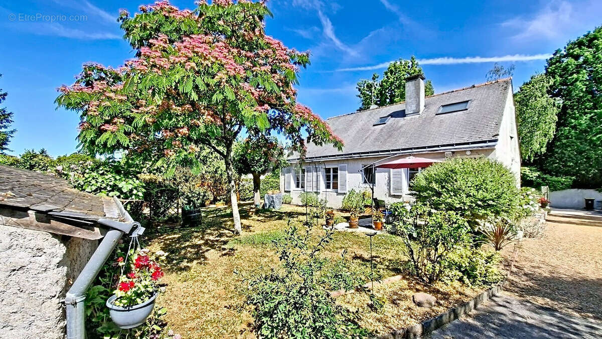 Maison Rives Du Loir En Anjou 6 pièce(s) 165 m2 - photo 16