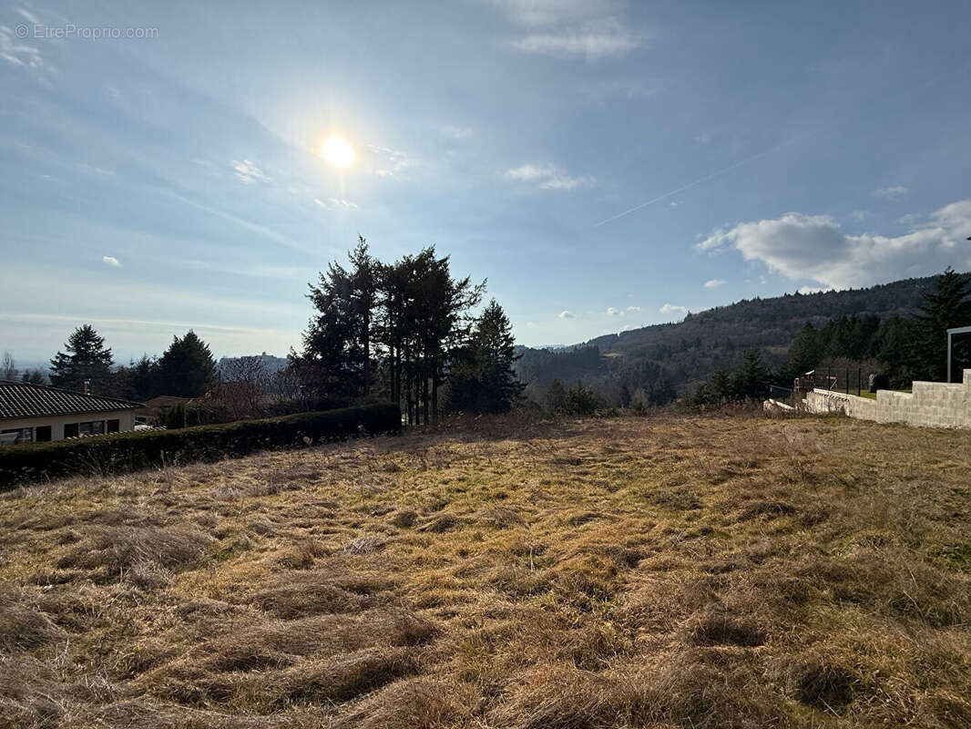 Terrain à SAINT-HAON-LE-VIEUX