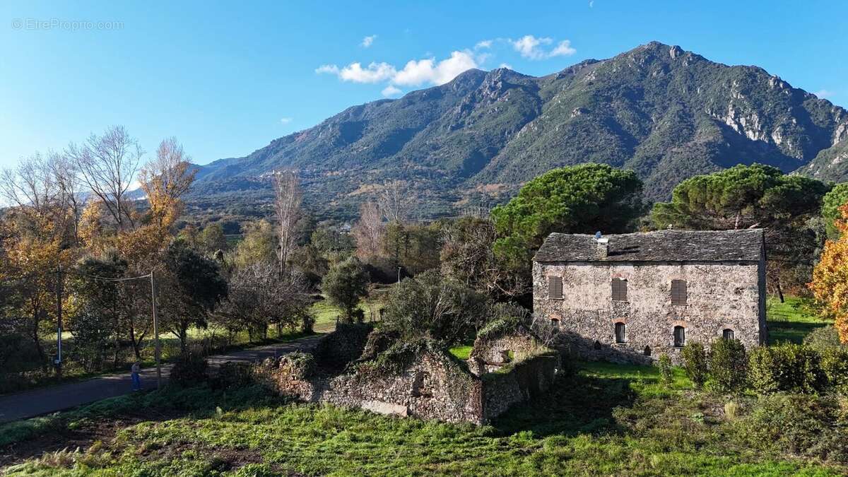 Maison à SAN-NICOLAO