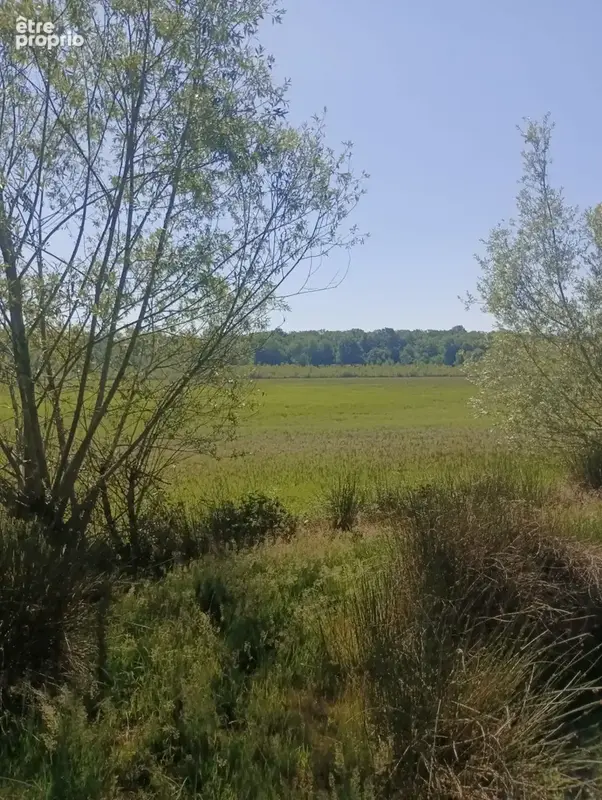 Vente étang de 11 ha environ sur terrain de 14 ha environ AILLONCOURT (70) - photo 5