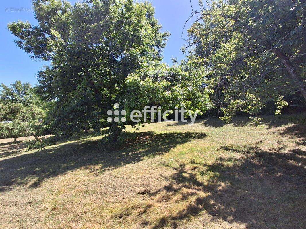 Terrain 1318 m² à Tourneville  - photo 2