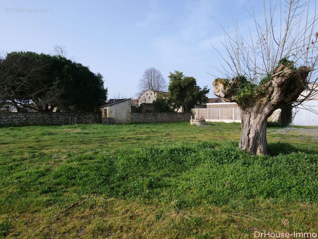 Maison à SAINT-ESTEPHE