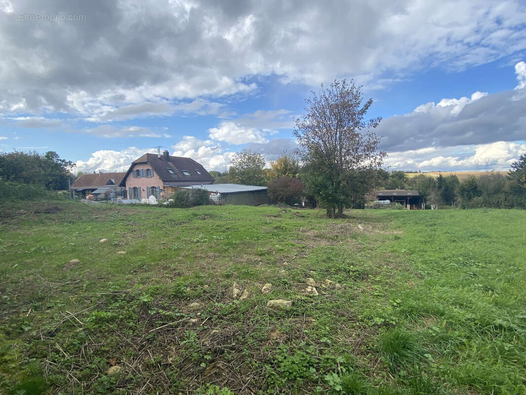 Terrain à HELFRANTZKIRCH