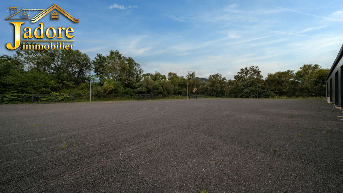 Autre à SAINT-DIE-DES-VOSGES