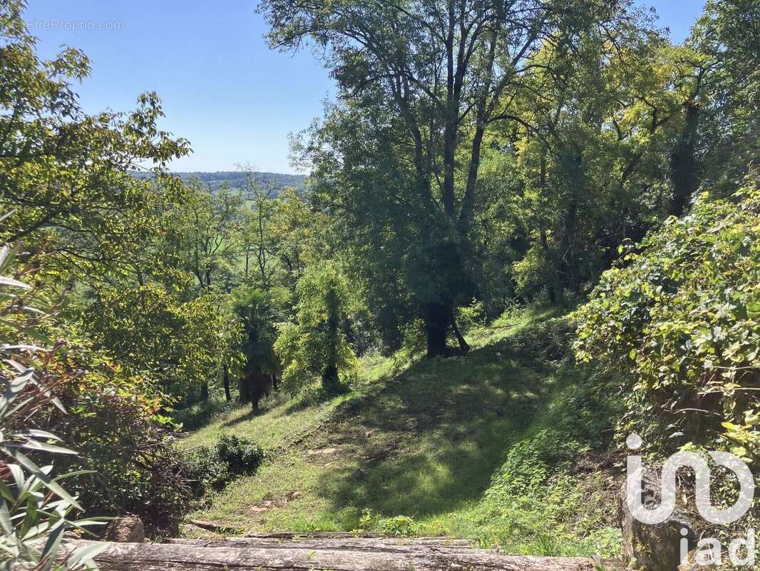 Photo 7 - Maison à SALLES-DE-BELVES