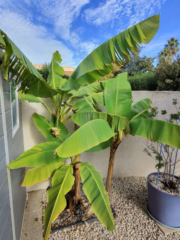 Maison à VALRAS-PLAGE