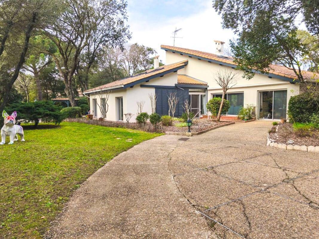 Maison à SAINT-JEAN-DE-VEDAS