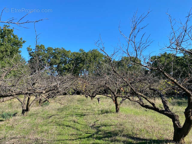 Terrain à UZES