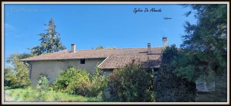 Maison à BAGE-LA-VILLE