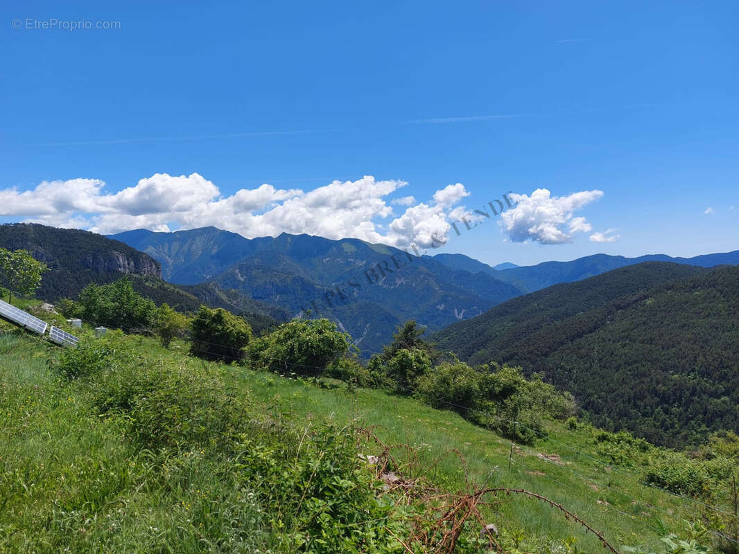 Vue panoramique - photo 34