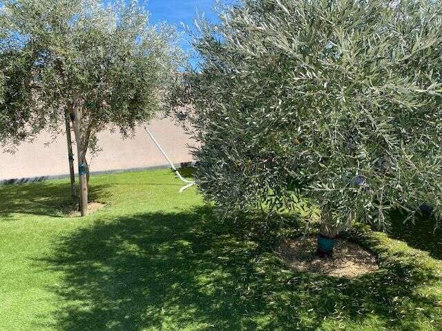 Villa type 4 + appartement t2 - jardin de 1000m2 sans aucun vis a vis avec piscine - photo 2