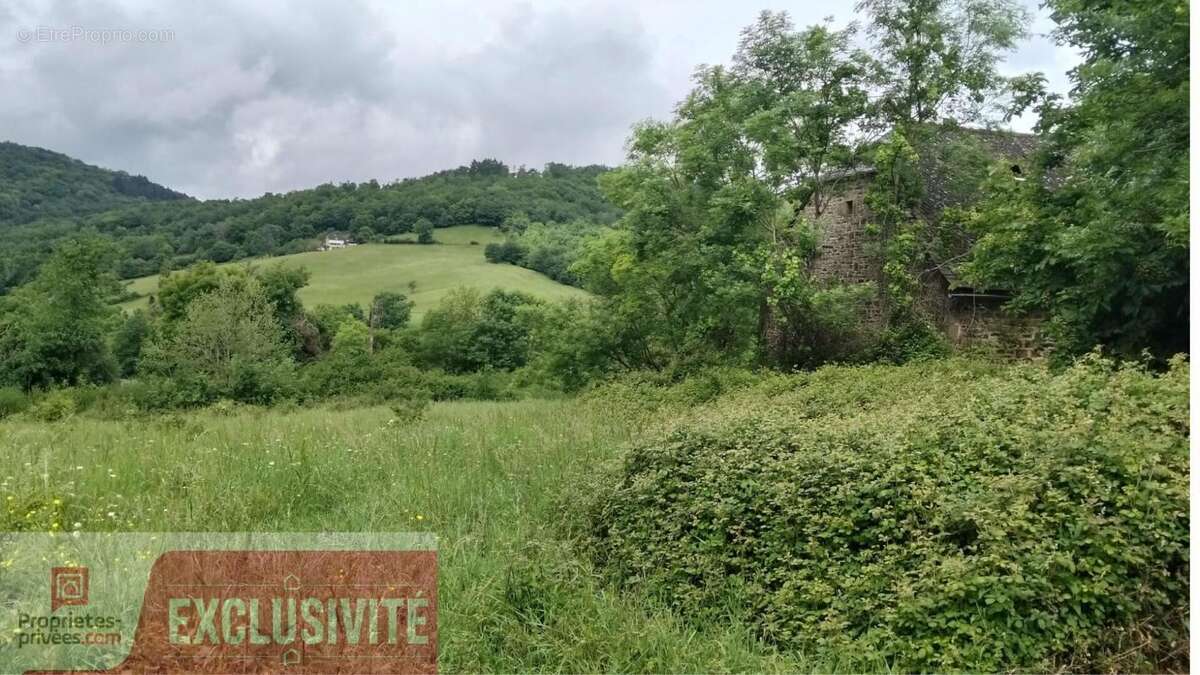 Terrain constructible de 2 750 m² à Lanteuil . Cadre calme et verdoyant - photo 3