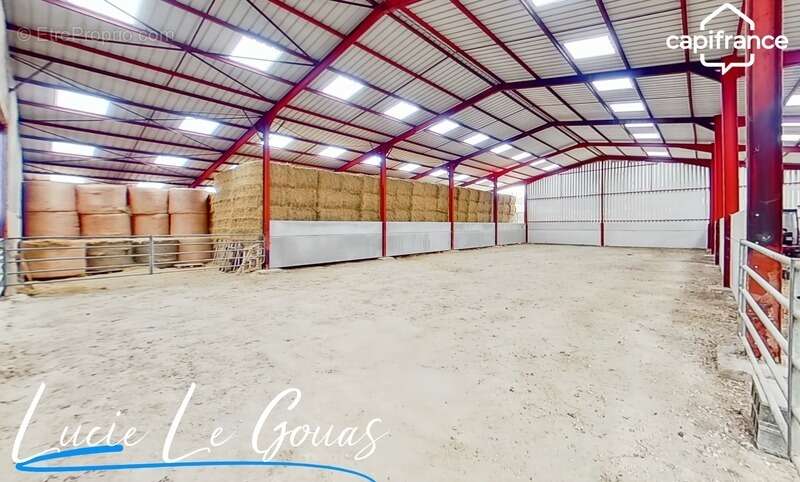 Ferme équestre - photo 23