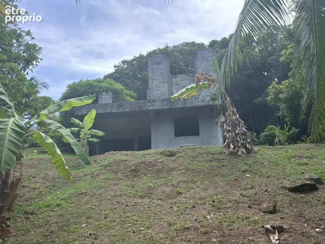 À Goyave, découvrez une propriété au fort potentiel ! Sur une parcelle verdoyante de 2 938 m², cette maison offre 4 chambres, de - photo 17