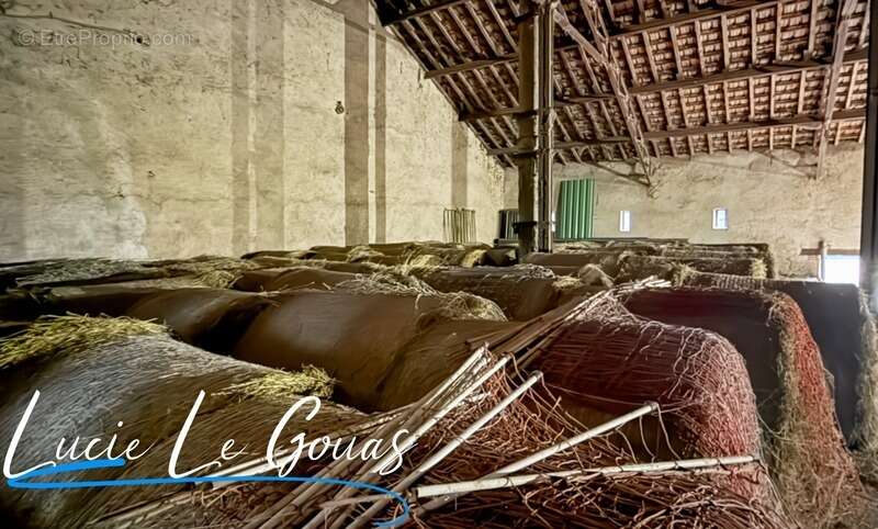 Ferme équestre - photo 25