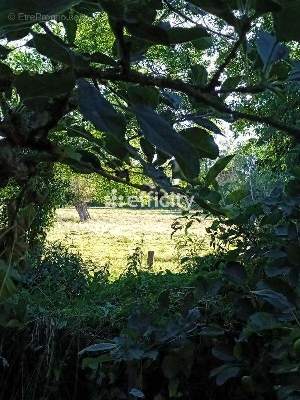 Maison à MAUVES-SUR-HUISNE