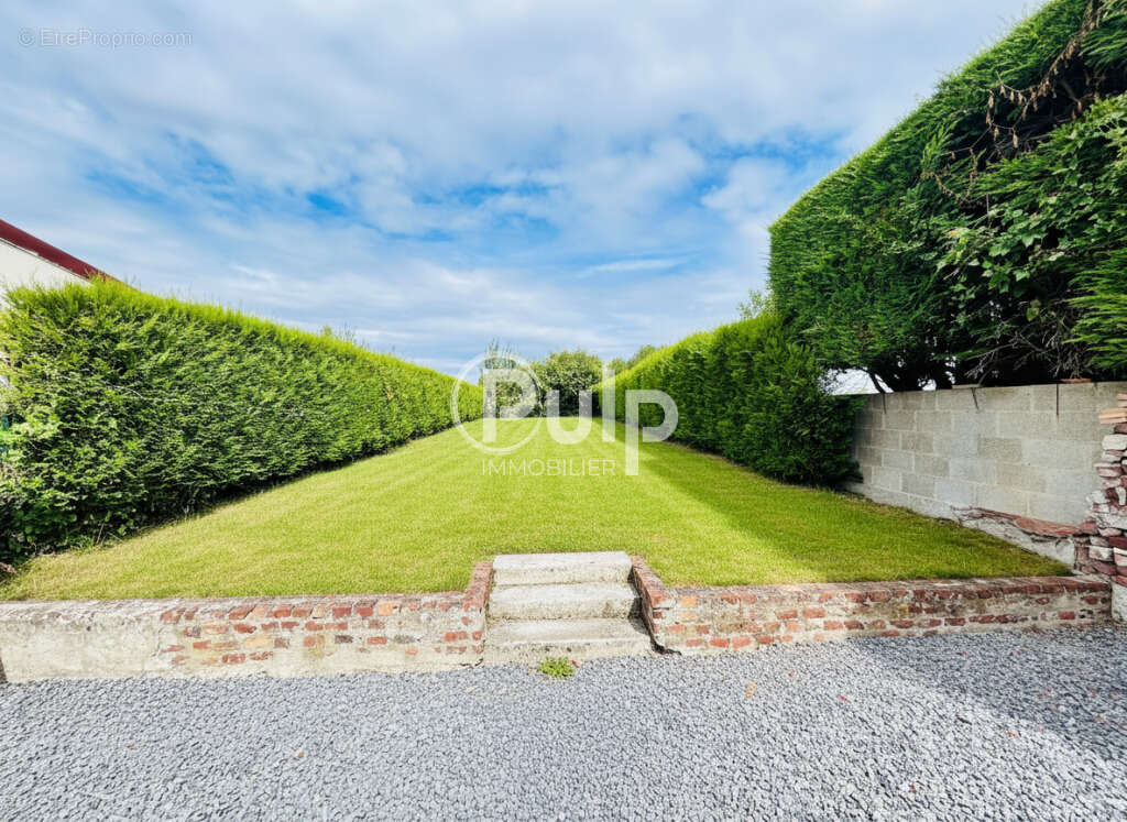 Maison à SAINS-EN-GOHELLE
