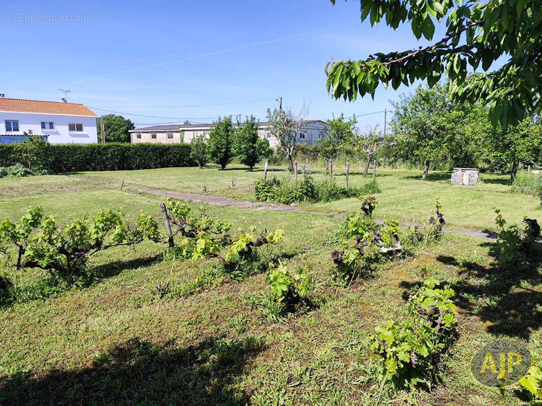 TRIAIZE - Beau Terrain à bâtir - 1111 m2 - photo 2