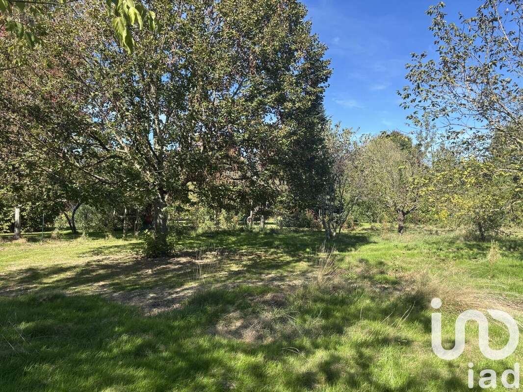 Photo 4 - Terrain à LABASTIDE-DU-TEMPLE