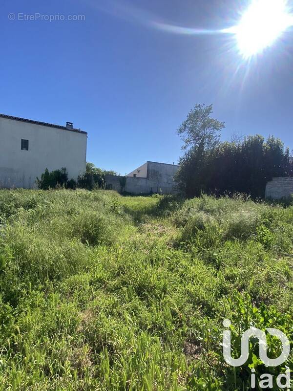 Photo 1 - Terrain à THAIRE