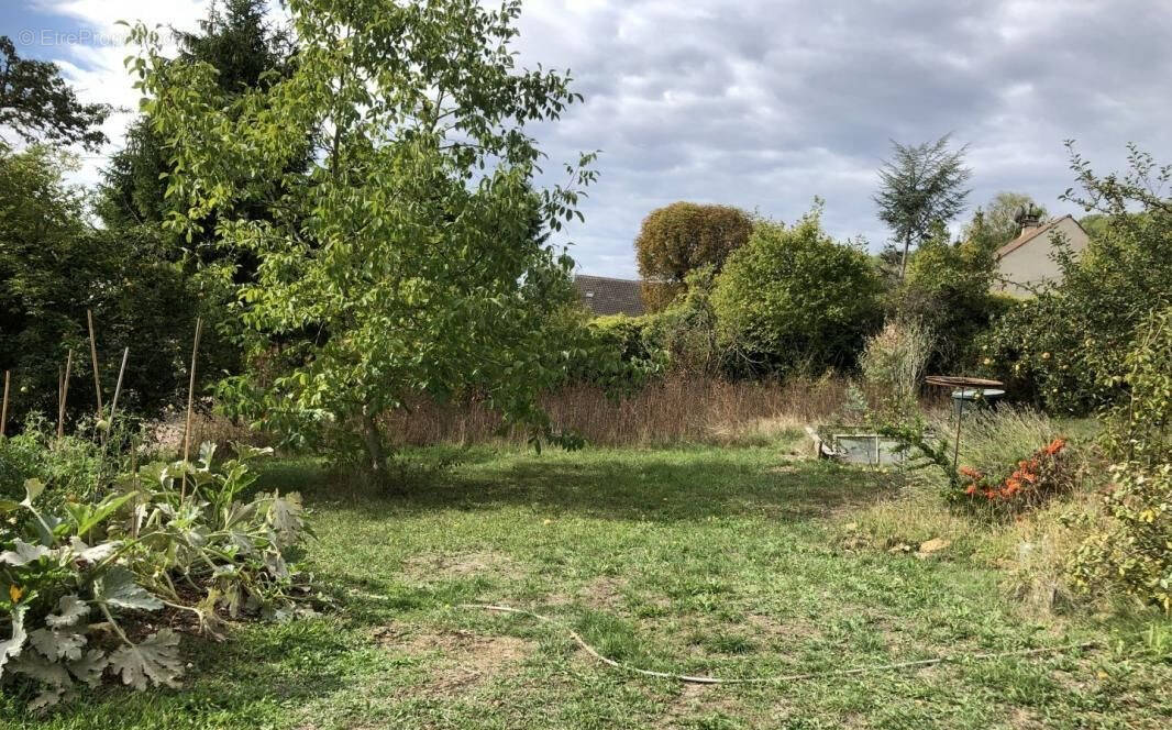 Terrain à NANTEUIL-SUR-MARNE
