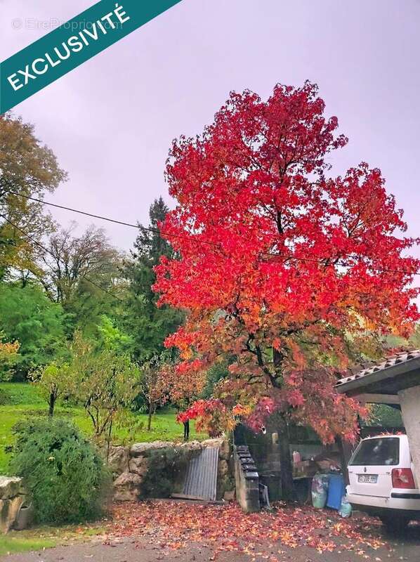 Photo 5 - Maison à POLIENAS