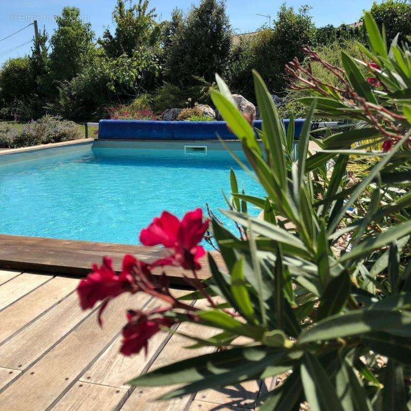 Maison à SAINT-HILAIRE-DE-BRETHMAS