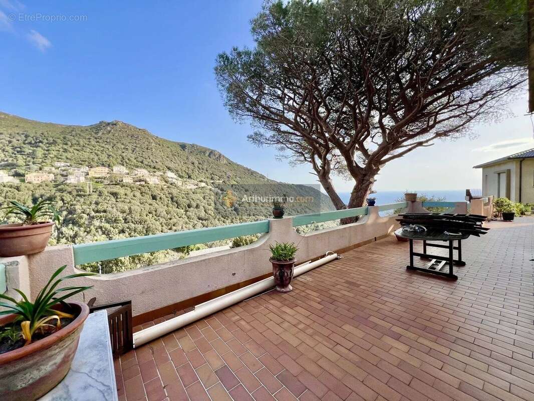 Maison à VILLE-DI-PIETRABUGNO