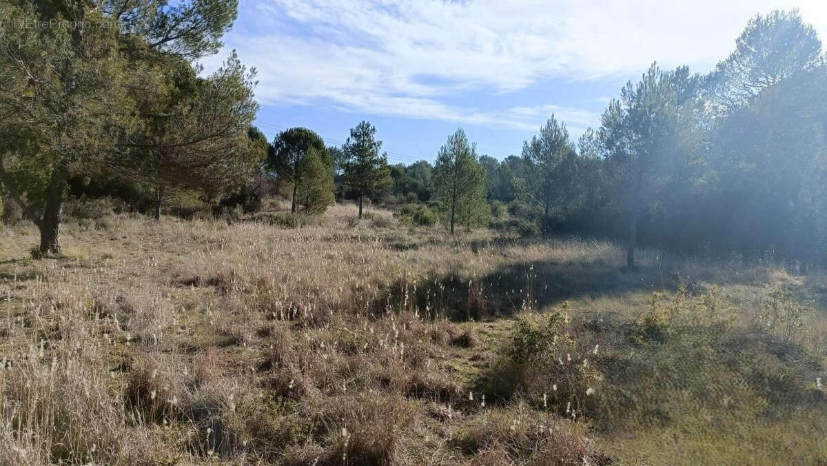 Terrain à MONTARNAUD