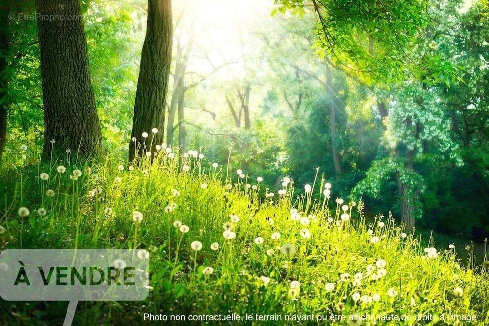 Terrain à SAINT-MAIXENT-SUR-VIE