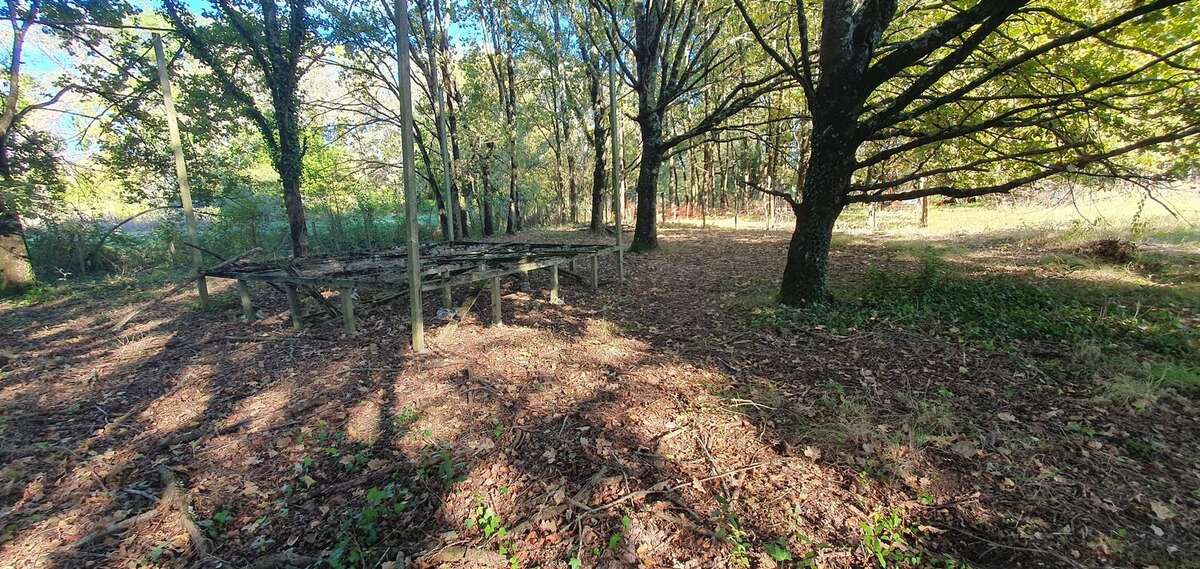Terrain à SAINT-ANDRE-DE-CUBZAC