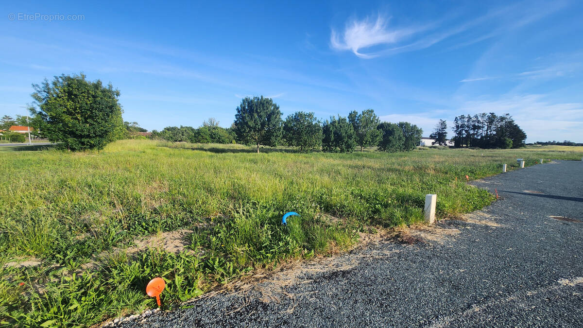 Terrain à MORNAC-SUR-SEUDRE