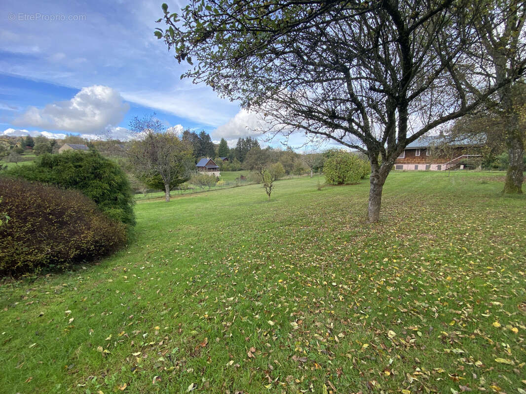 Maison à SAINT-MARTIN-DU-PUY