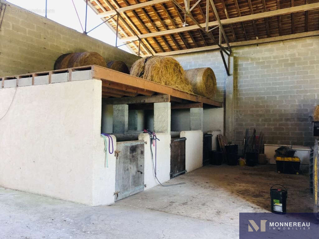 Maison à BARBEZIEUX-SAINT-HILAIRE