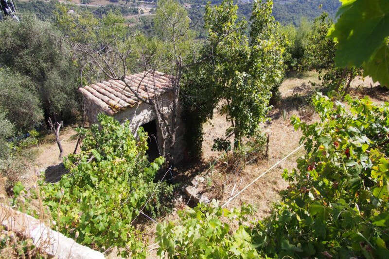 Maison à LA TRINITE
