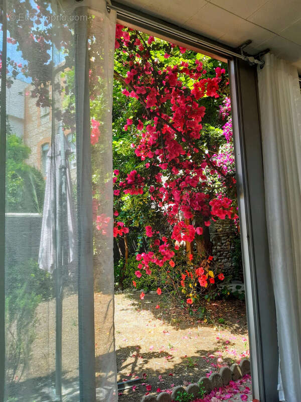 Maison de ville  avec jardin au centre de perpignan-opportunite rare - photo 11