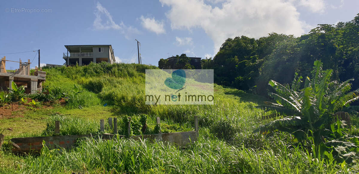 Terrain à LE LAMENTIN