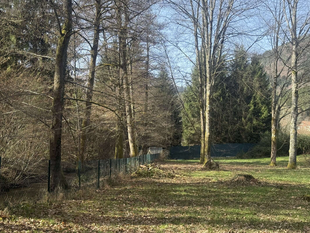 Maison à SAINT-DIE-DES-VOSGES