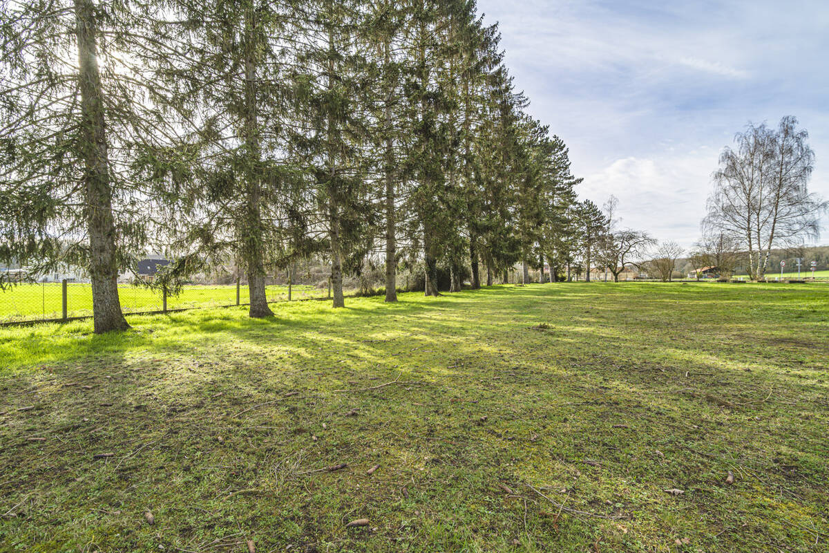 Terrain à COURLANDON