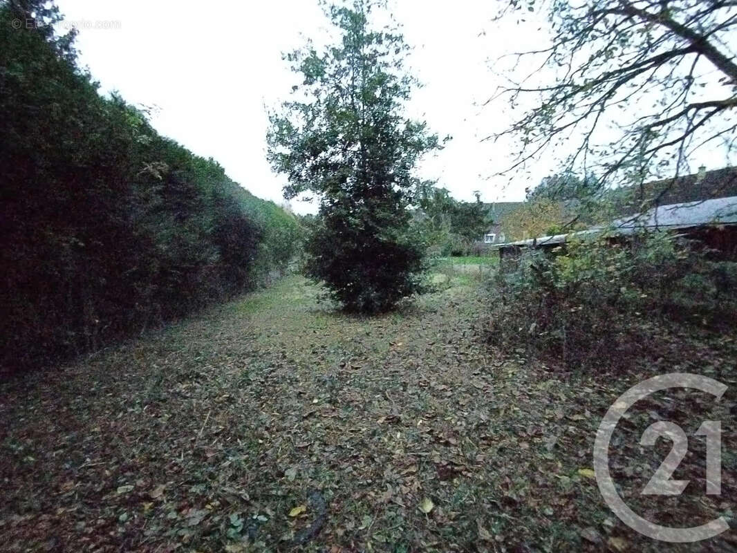 Terrain à BRANCOURT-LE-GRAND
