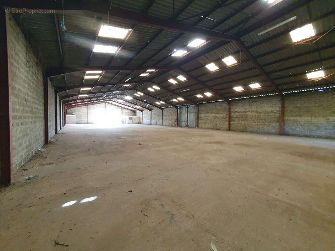 Commerce à AMBARES-ET-LAGRAVE