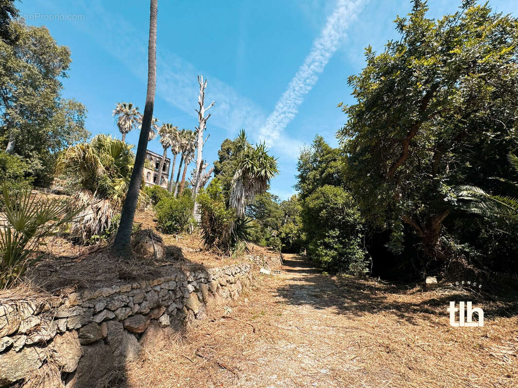 Terrain à VALLAURIS