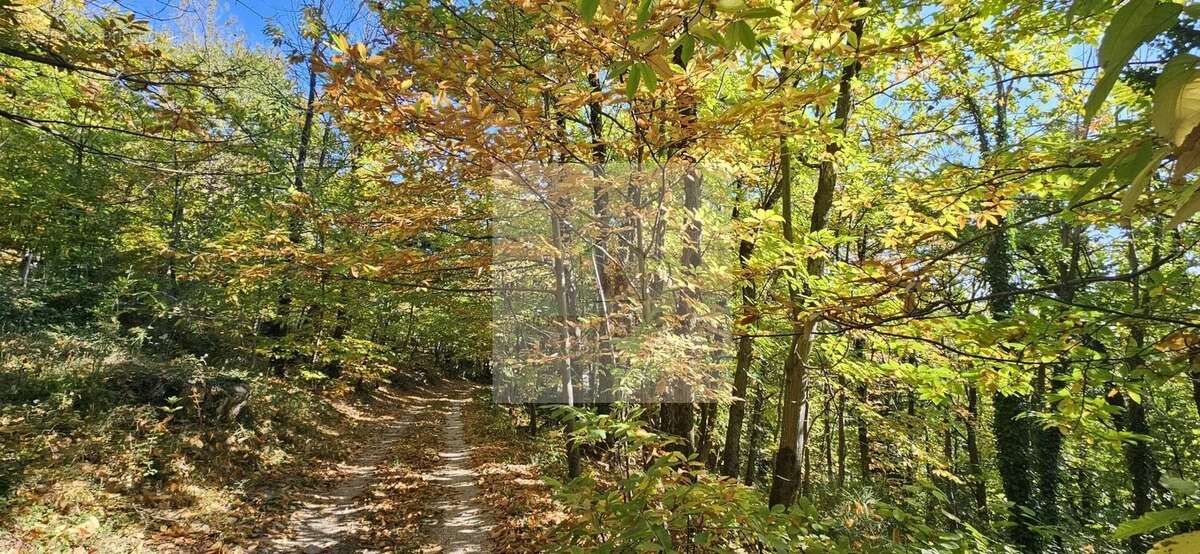Maison à LE COLLET-DE-DEZE