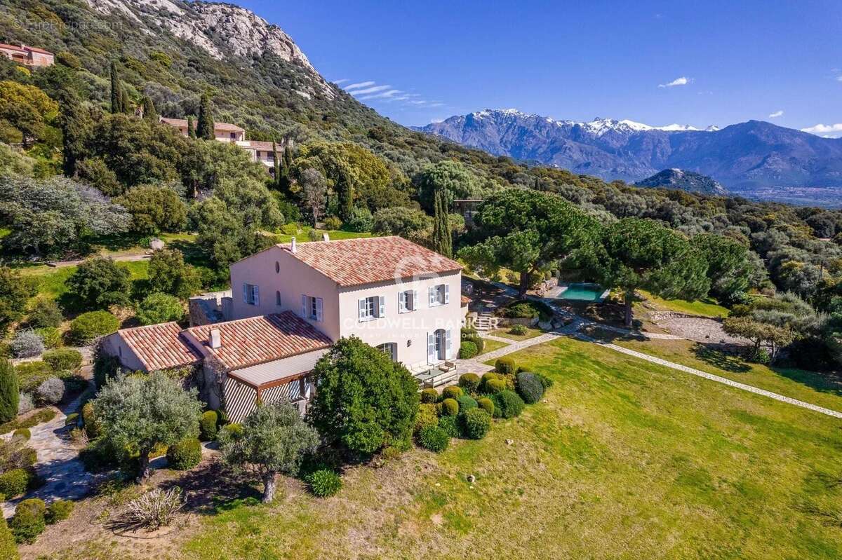 Maison à LUMIO