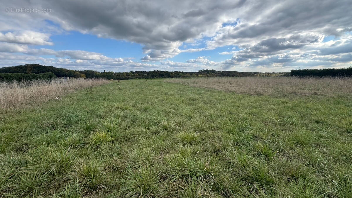 Terrain à SAINTE-GENEVIEVE